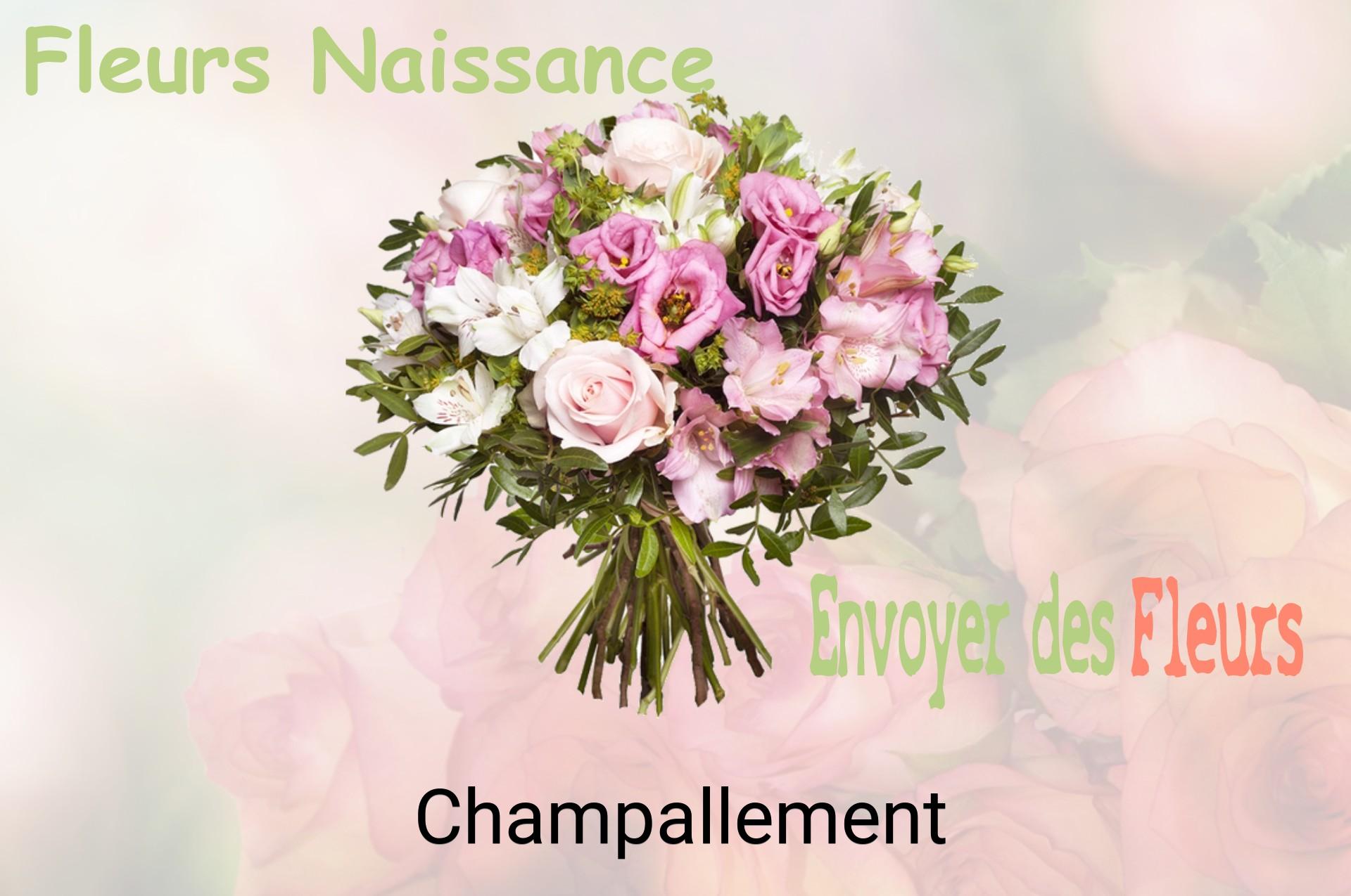 Bouquet de fleurs de naissance livré à Champallement